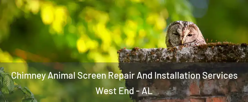 Chimney Animal Screen Repair And Installation Services West End - AL