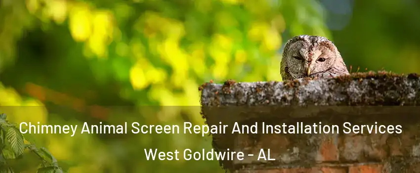 Chimney Animal Screen Repair And Installation Services West Goldwire - AL