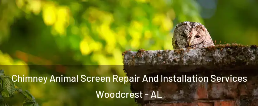 Chimney Animal Screen Repair And Installation Services Woodcrest - AL