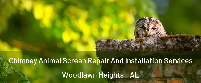 Chimney Animal Screen Repair And Installation Services Woodlawn Heights - AL