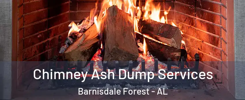 Chimney Ash Dump Services Barnisdale Forest - AL
