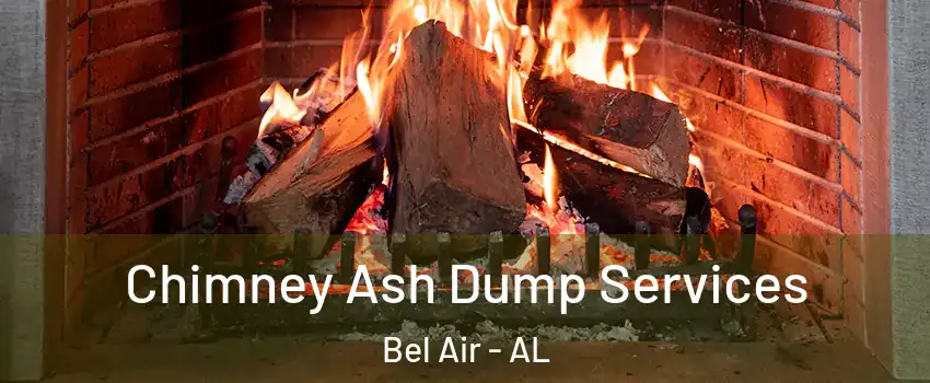 Chimney Ash Dump Services Bel Air - AL