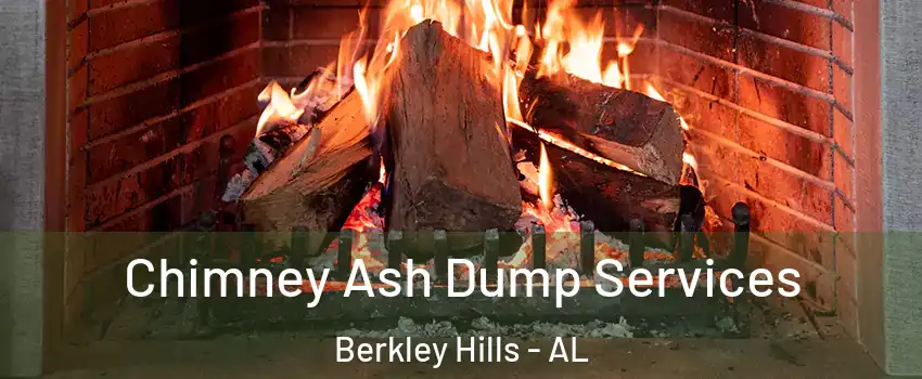 Chimney Ash Dump Services Berkley Hills - AL