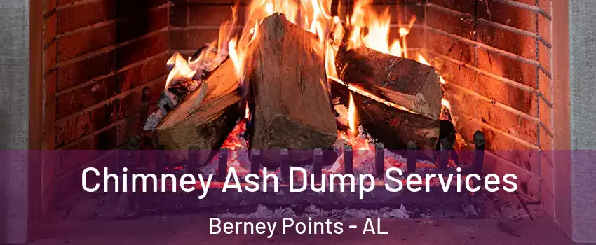 Chimney Ash Dump Services Berney Points - AL