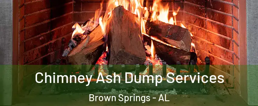 Chimney Ash Dump Services Brown Springs - AL