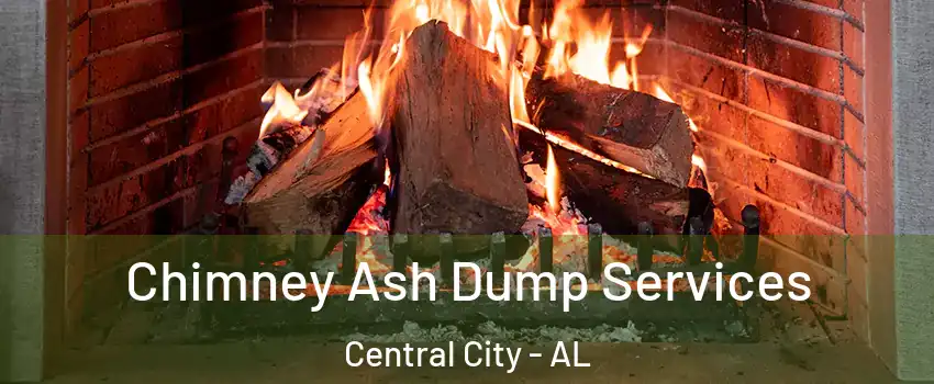 Chimney Ash Dump Services Central City - AL