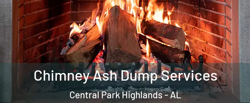 Chimney Ash Dump Services Central Park Highlands - AL