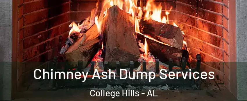 Chimney Ash Dump Services College Hills - AL