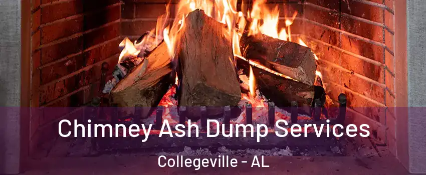 Chimney Ash Dump Services Collegeville - AL