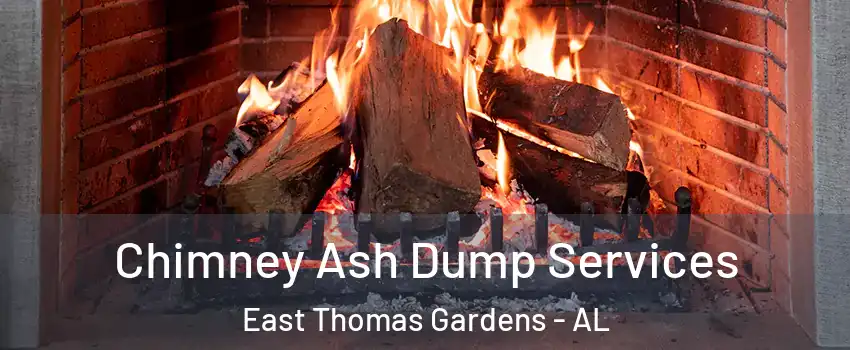 Chimney Ash Dump Services East Thomas Gardens - AL