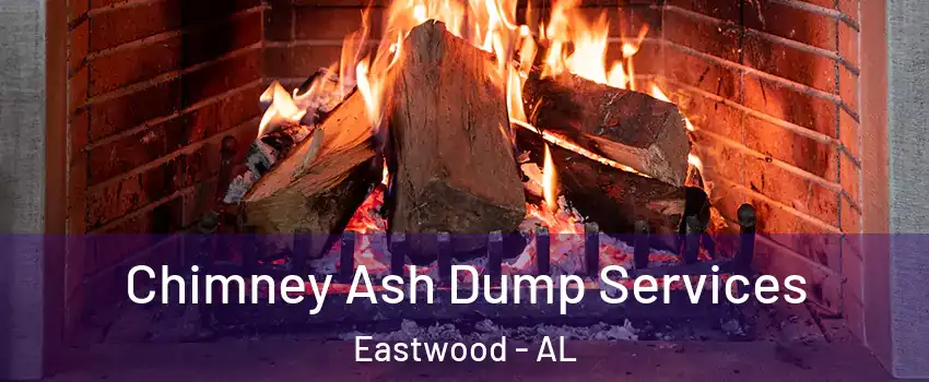 Chimney Ash Dump Services Eastwood - AL