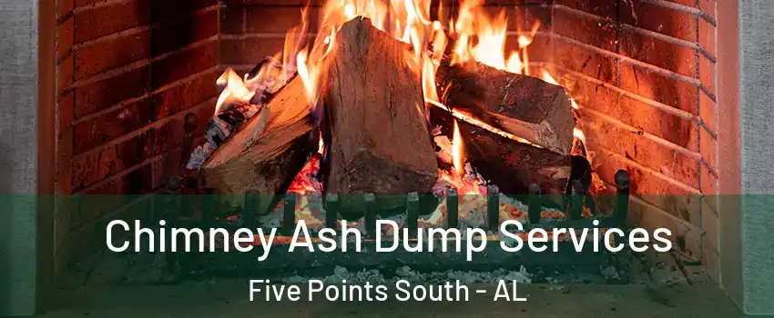 Chimney Ash Dump Services Five Points South - AL