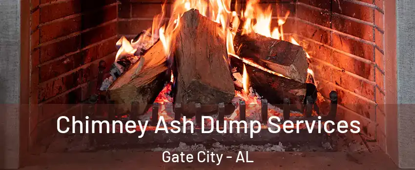 Chimney Ash Dump Services Gate City - AL