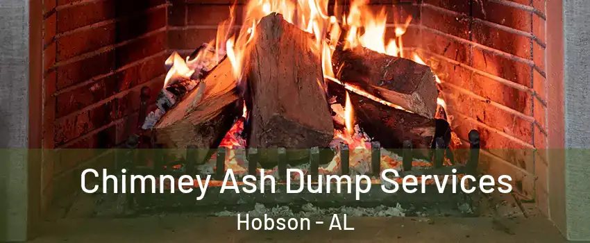 Chimney Ash Dump Services Hobson - AL