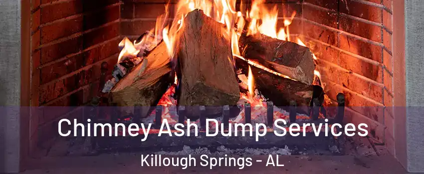 Chimney Ash Dump Services Killough Springs - AL