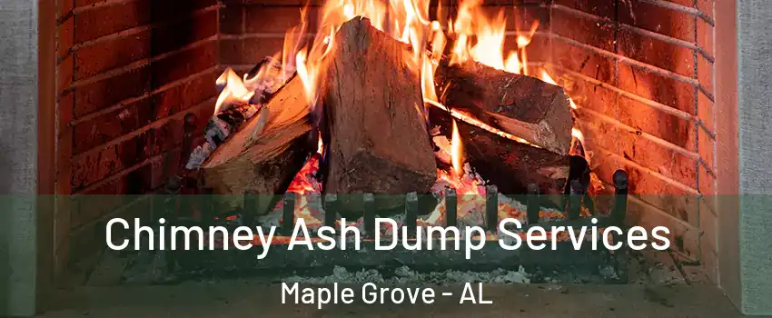 Chimney Ash Dump Services Maple Grove - AL