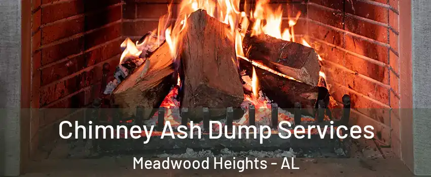 Chimney Ash Dump Services Meadwood Heights - AL