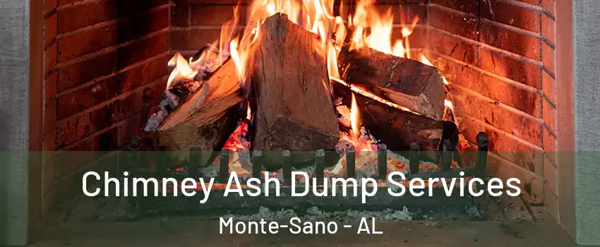 Chimney Ash Dump Services Monte-Sano - AL