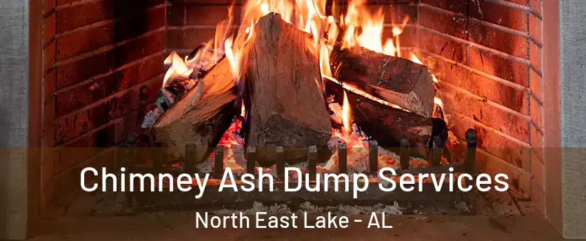 Chimney Ash Dump Services North East Lake - AL
