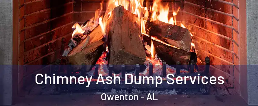Chimney Ash Dump Services Owenton - AL