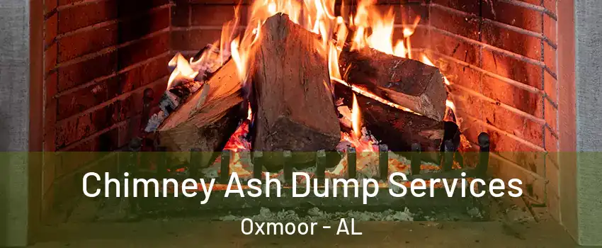 Chimney Ash Dump Services Oxmoor - AL