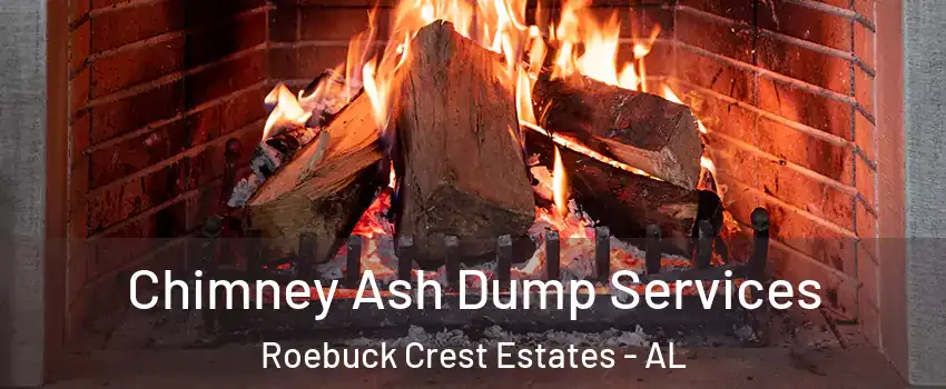 Chimney Ash Dump Services Roebuck Crest Estates - AL