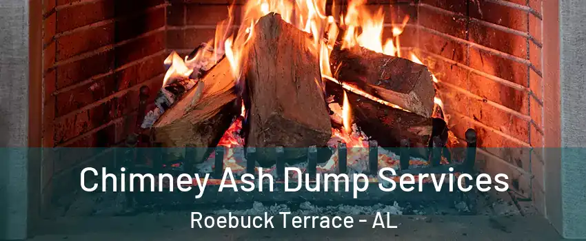 Chimney Ash Dump Services Roebuck Terrace - AL