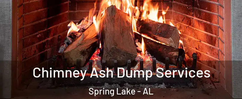 Chimney Ash Dump Services Spring Lake - AL