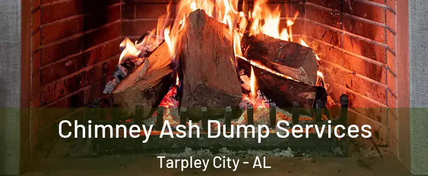 Chimney Ash Dump Services Tarpley City - AL