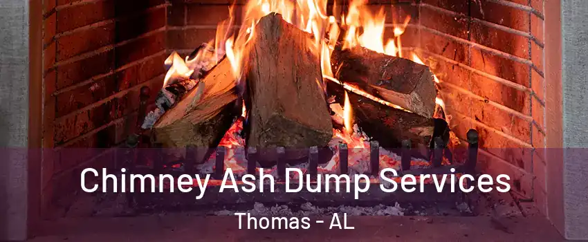 Chimney Ash Dump Services Thomas - AL