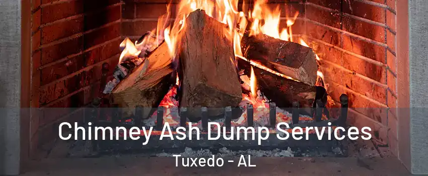 Chimney Ash Dump Services Tuxedo - AL