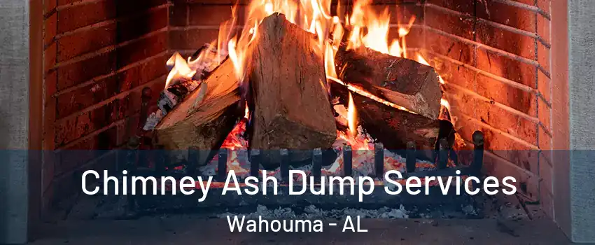 Chimney Ash Dump Services Wahouma - AL