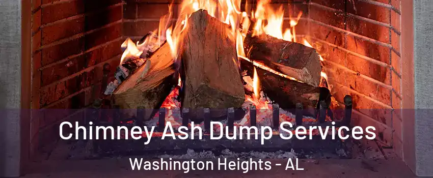 Chimney Ash Dump Services Washington Heights - AL