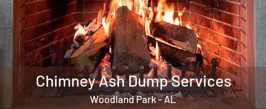 Chimney Ash Dump Services Woodland Park - AL