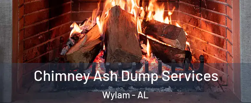 Chimney Ash Dump Services Wylam - AL