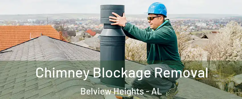 Chimney Blockage Removal Belview Heights - AL