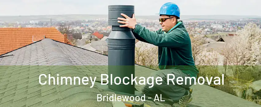 Chimney Blockage Removal Bridlewood - AL