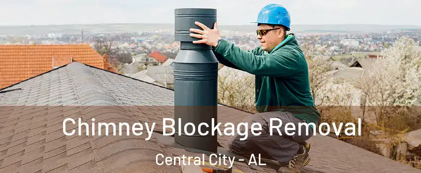 Chimney Blockage Removal Central City - AL