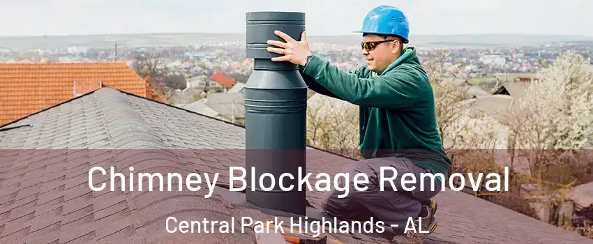 Chimney Blockage Removal Central Park Highlands - AL