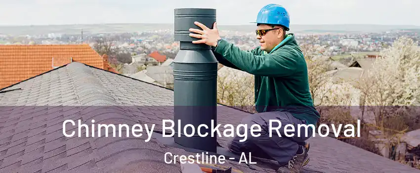 Chimney Blockage Removal Crestline - AL