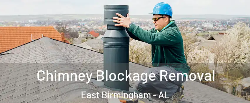 Chimney Blockage Removal East Birmingham - AL