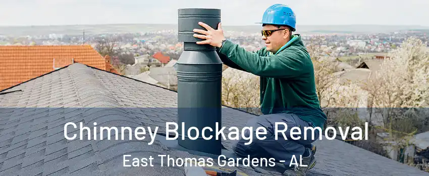 Chimney Blockage Removal East Thomas Gardens - AL