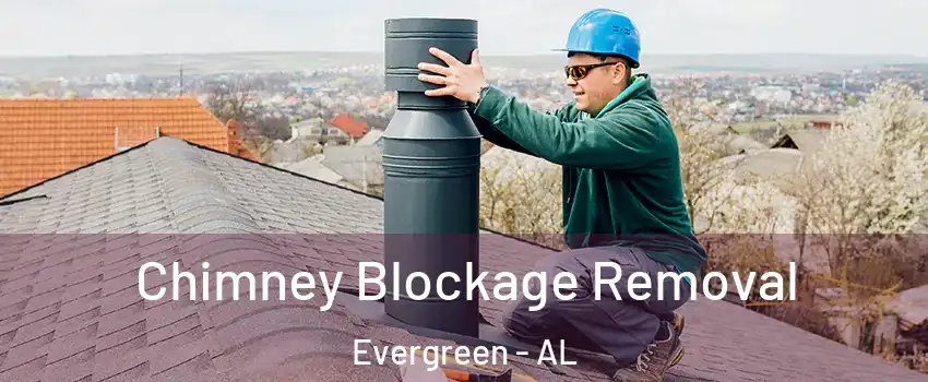 Chimney Blockage Removal Evergreen - AL