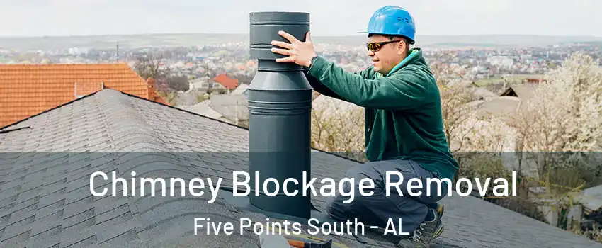Chimney Blockage Removal Five Points South - AL