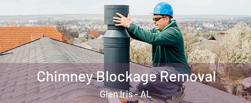 Chimney Blockage Removal Glen Iris - AL