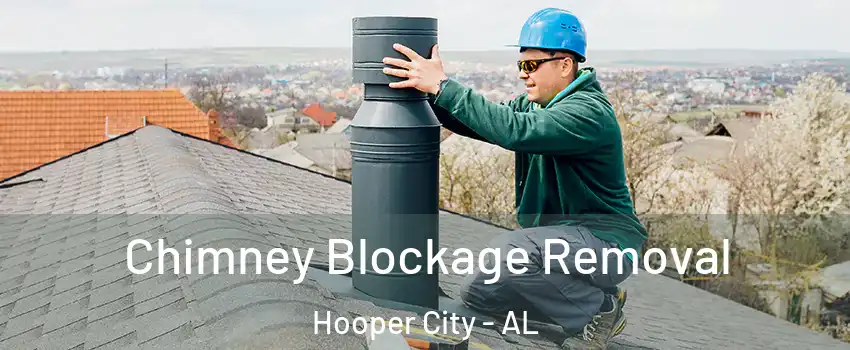Chimney Blockage Removal Hooper City - AL
