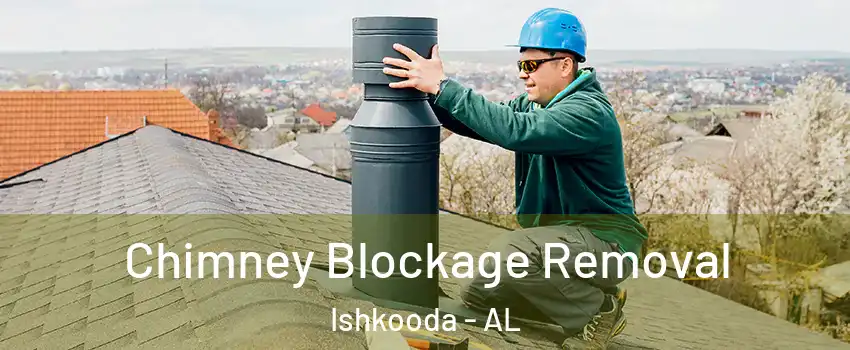 Chimney Blockage Removal Ishkooda - AL