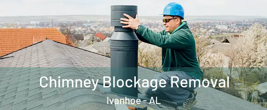 Chimney Blockage Removal Ivanhoe - AL