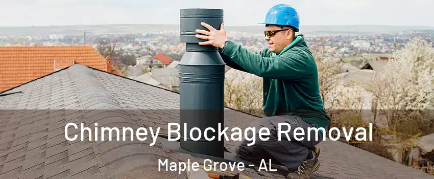 Chimney Blockage Removal Maple Grove - AL