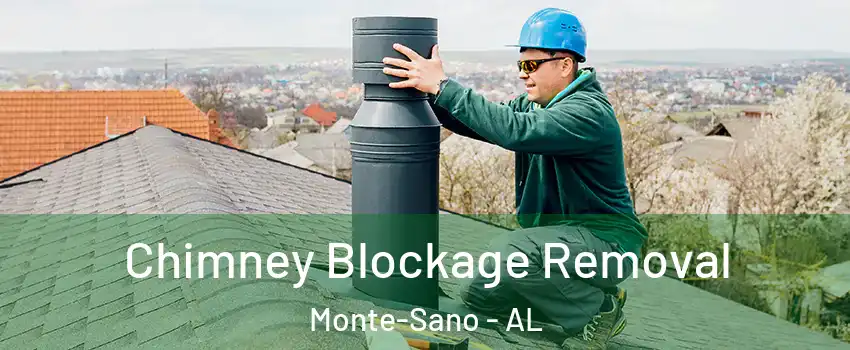 Chimney Blockage Removal Monte-Sano - AL
